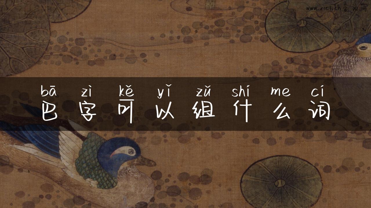 巴字可以组什么词