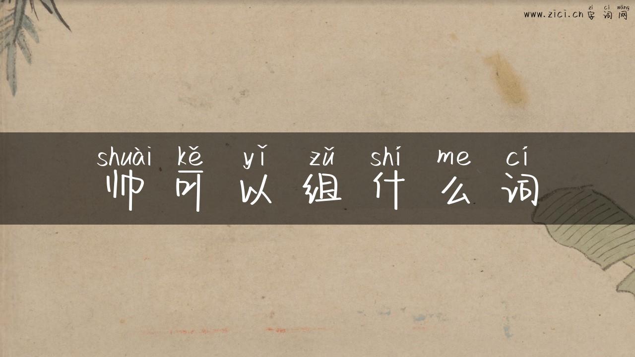帅可以组什么词