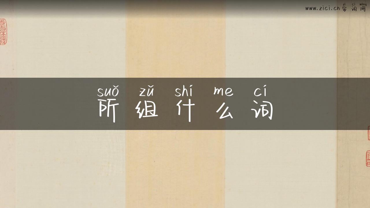所组什么词