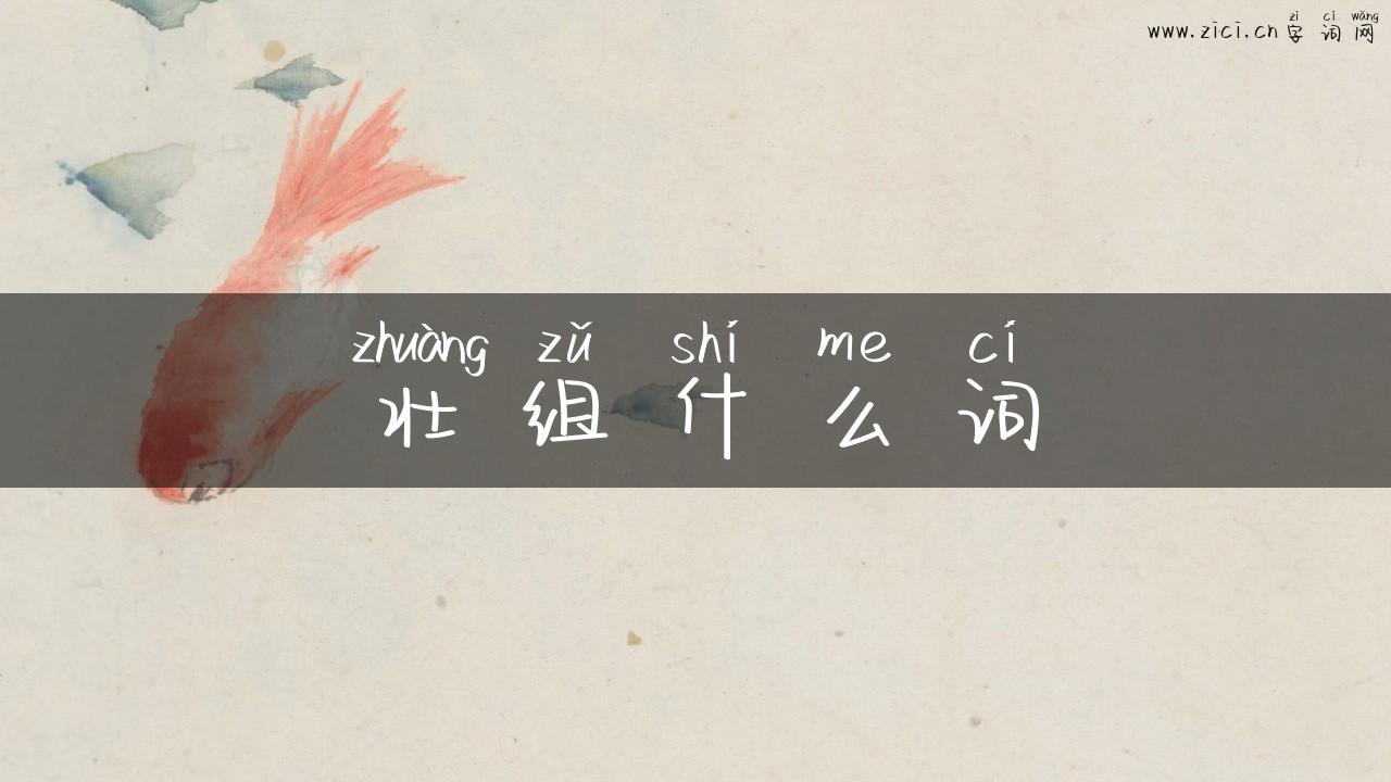 壮组什么词