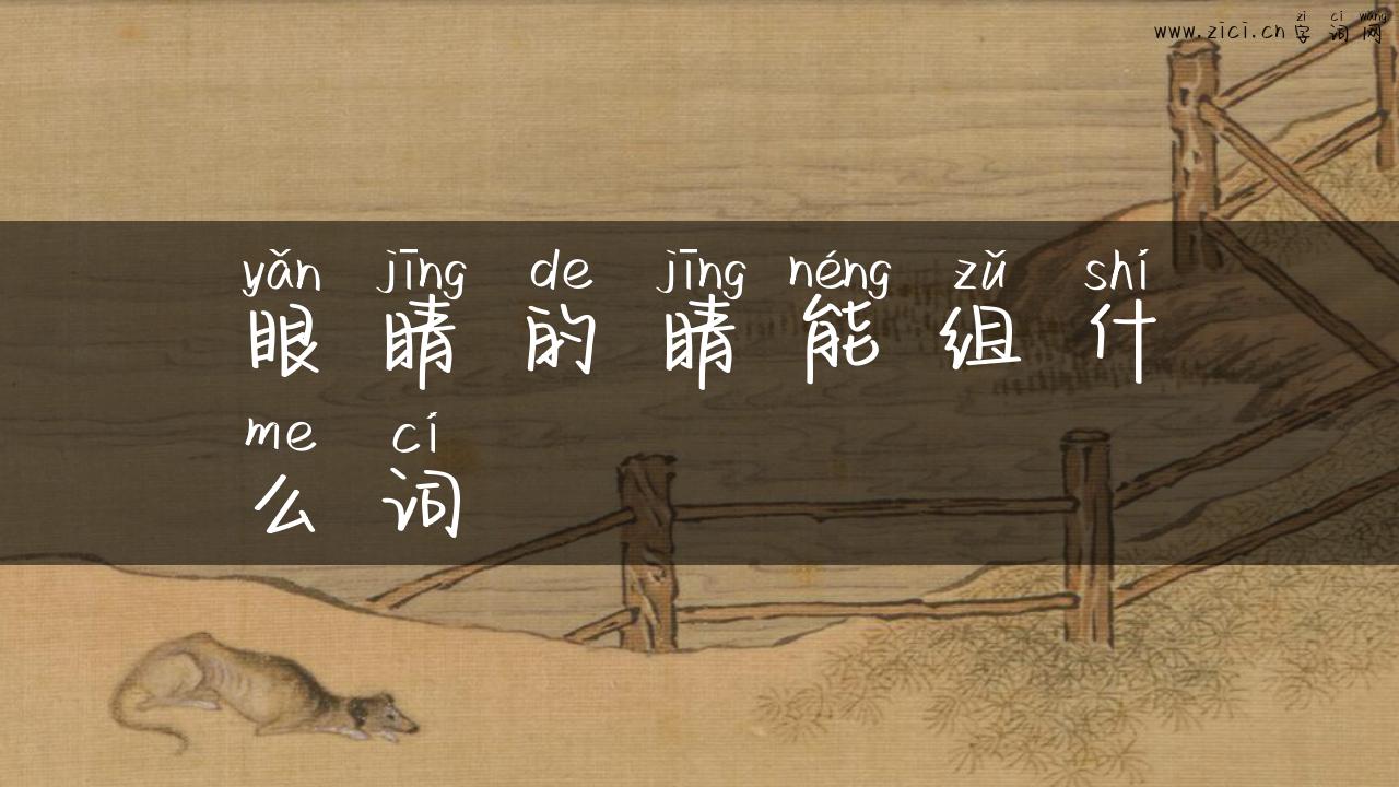 眼睛的睛能组什么词