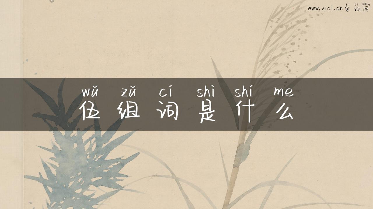 伍组词是什么