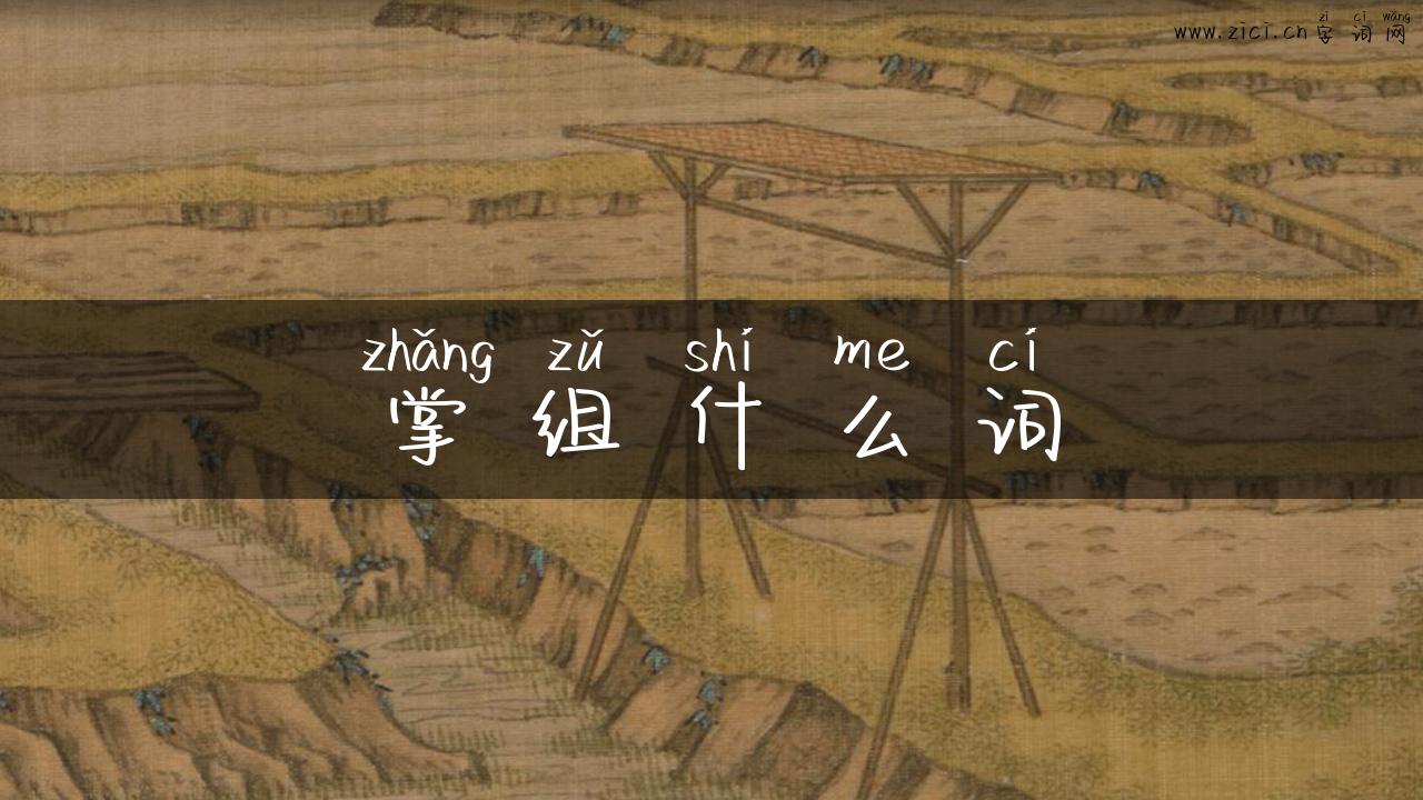 掌组什么词