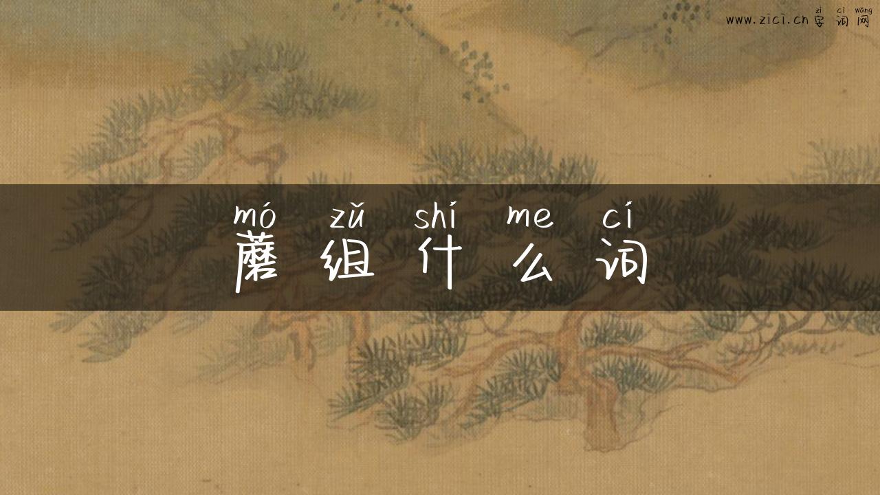 蘑组什么词