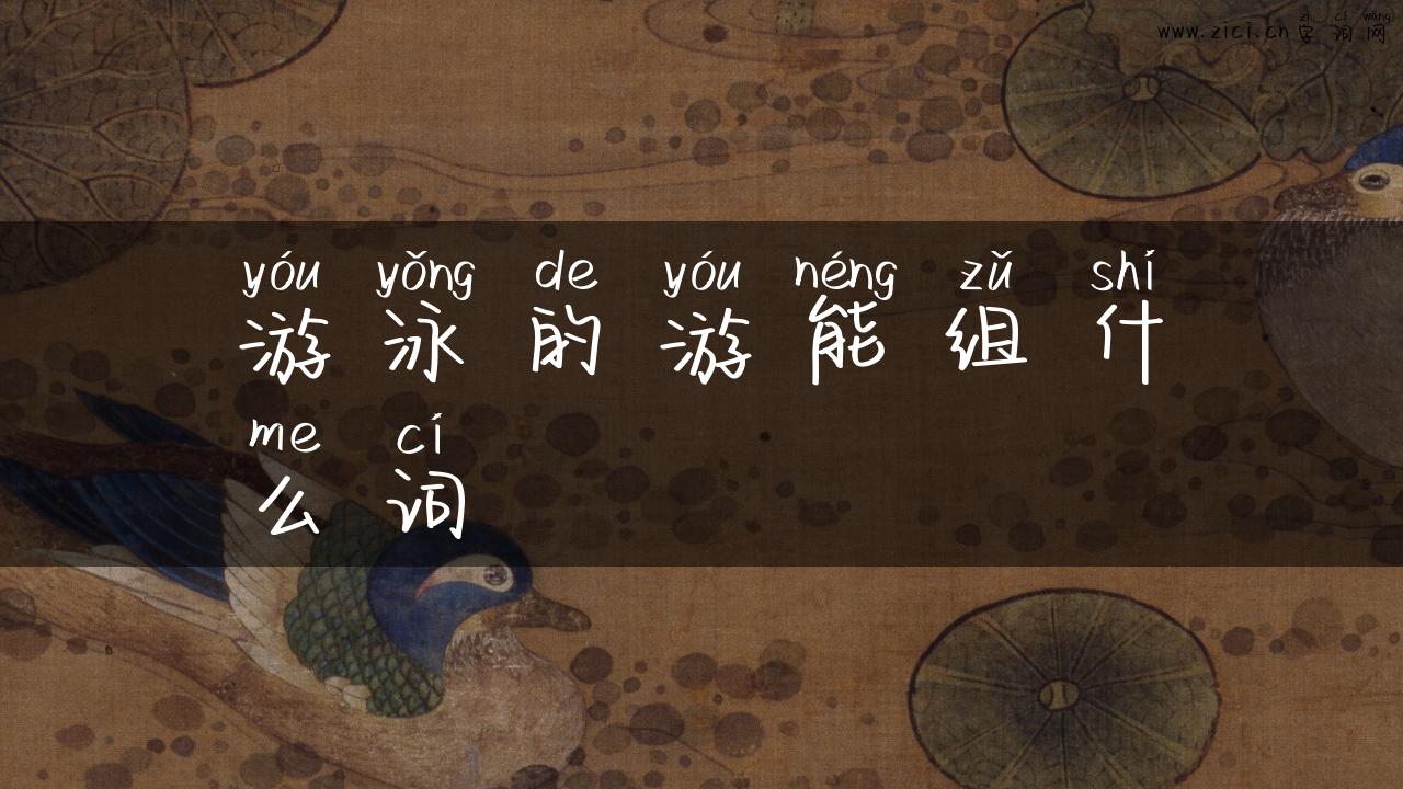 游泳的游能组什么词