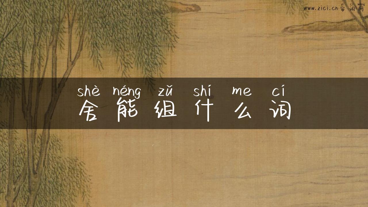 舍能组什么词