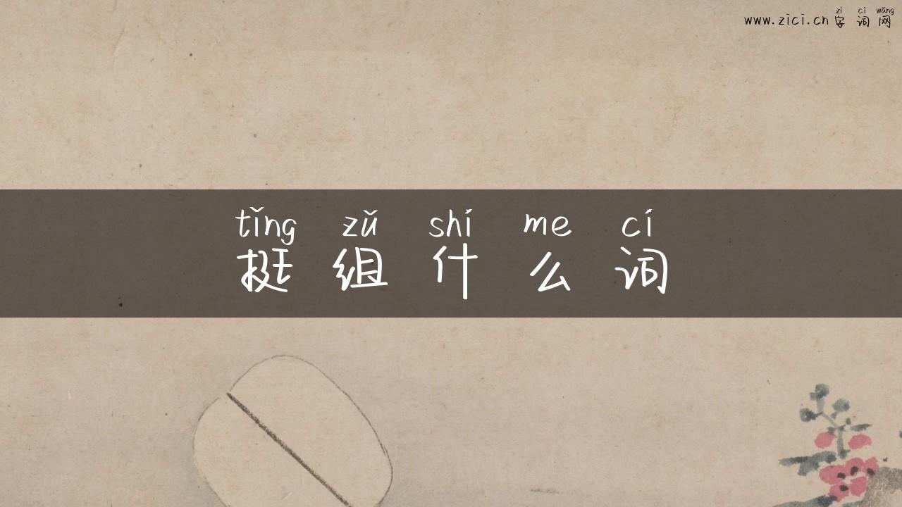 挺组什么词