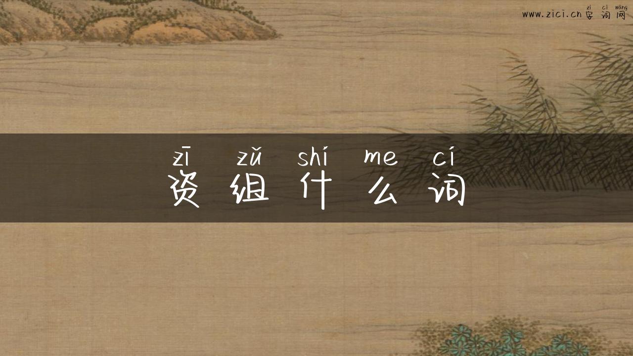 资组什么词