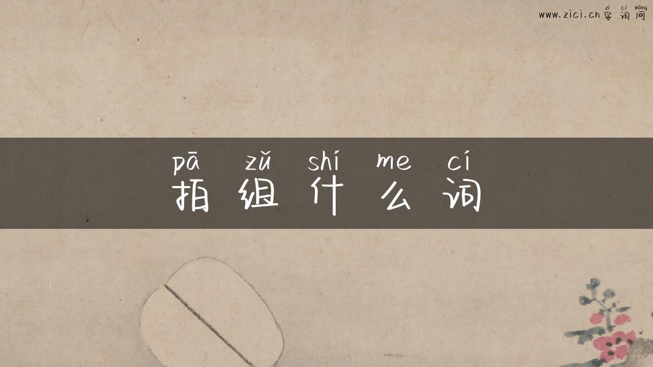 拍组什么词