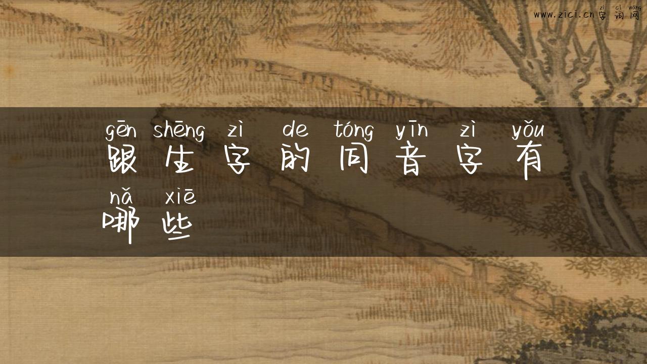 跟生字的同音字有哪些