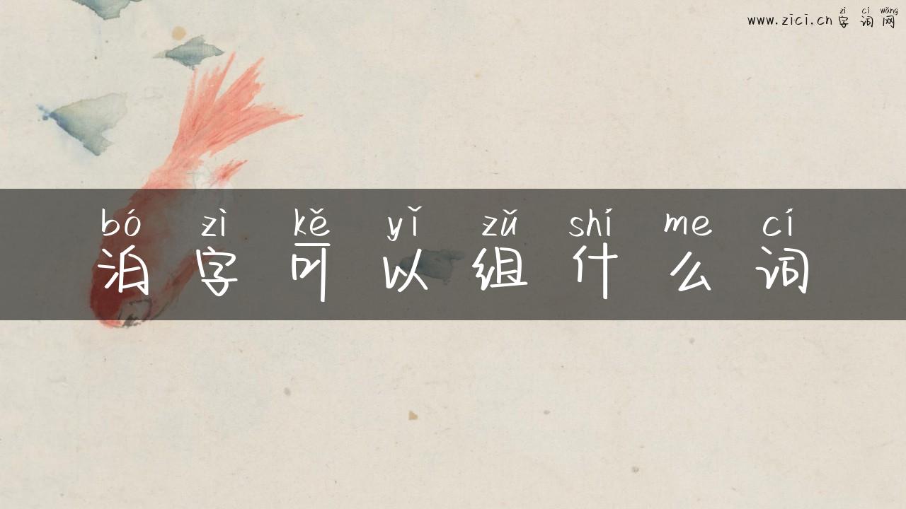 泊字可以组什么词