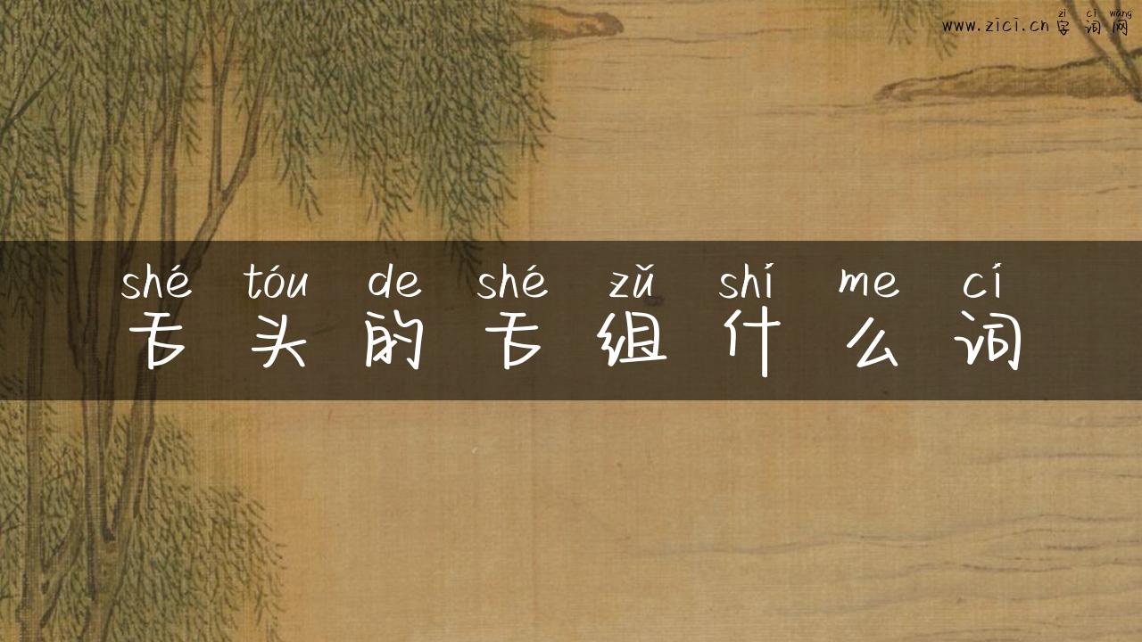 舌头的舌组什么词