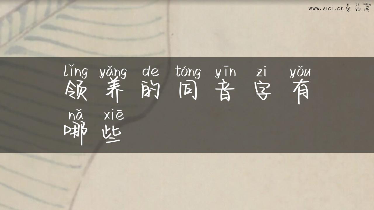 领养的同音字有哪些