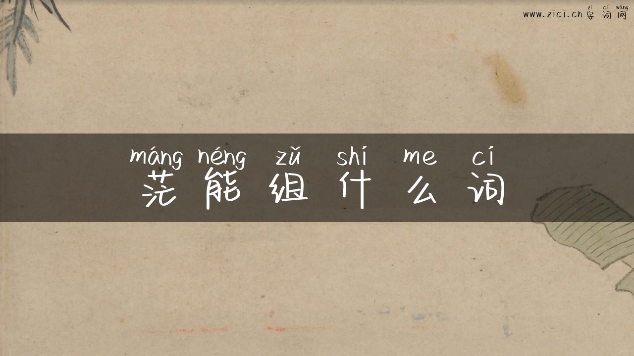 茫能组什么词