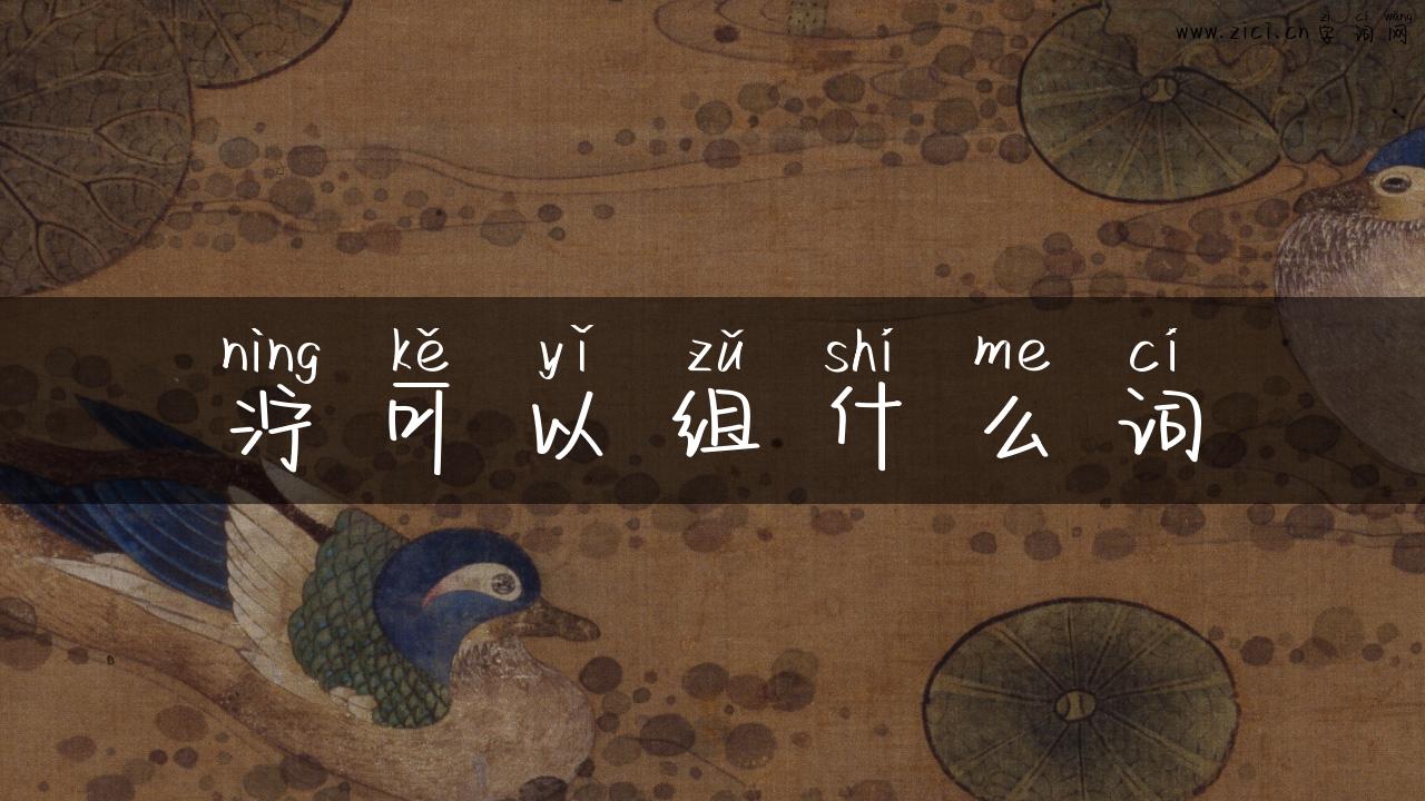 泞可以组什么词