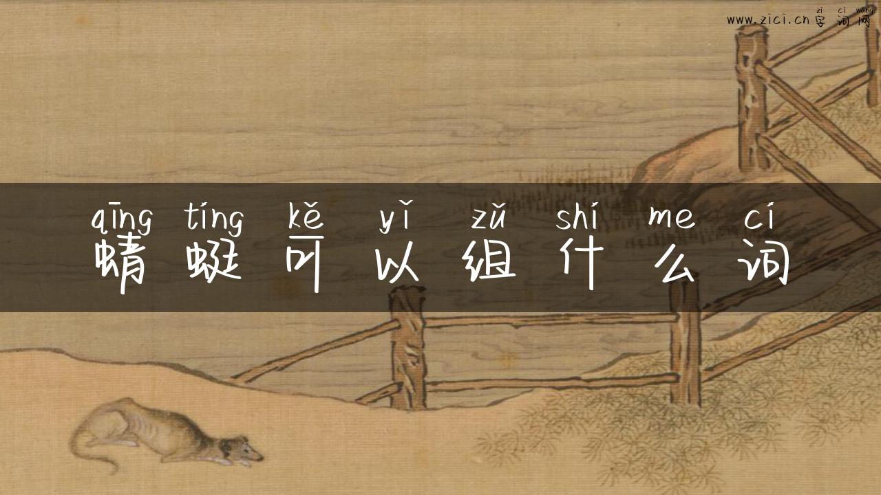 蜻蜓可以组什么词