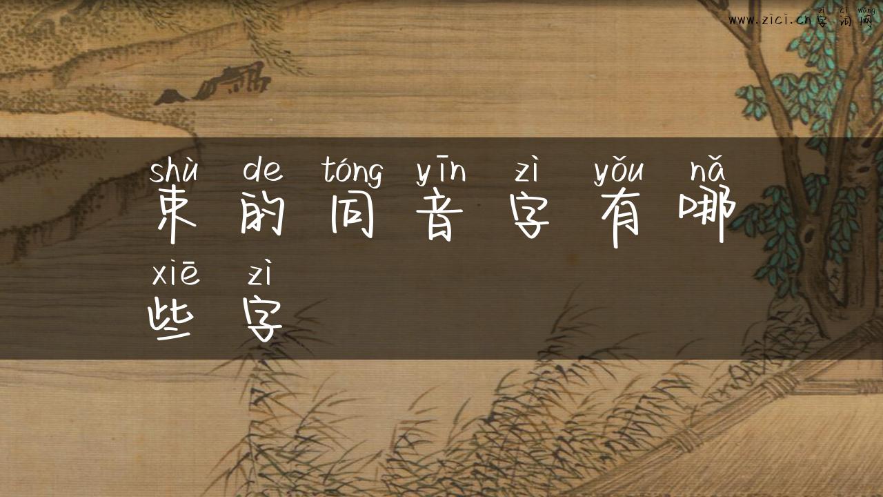 束的同音字有哪些字