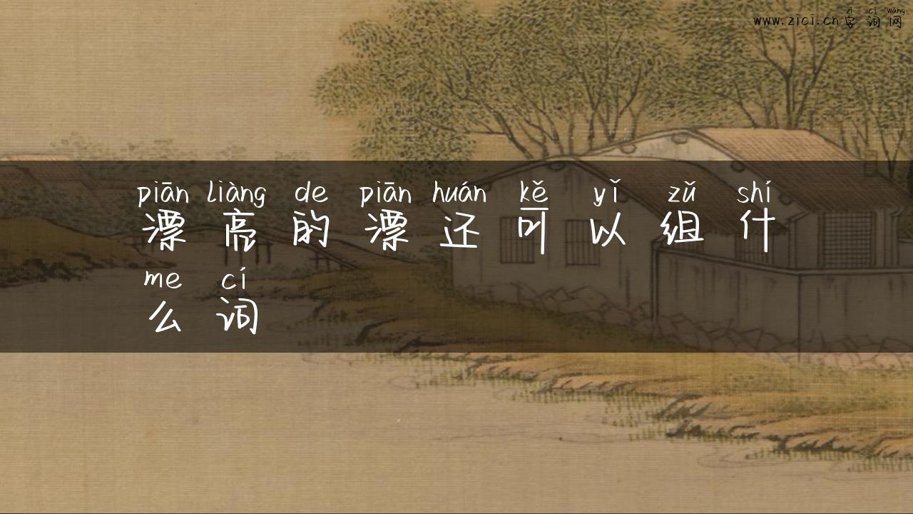 漂亮的漂还可以组什么词
