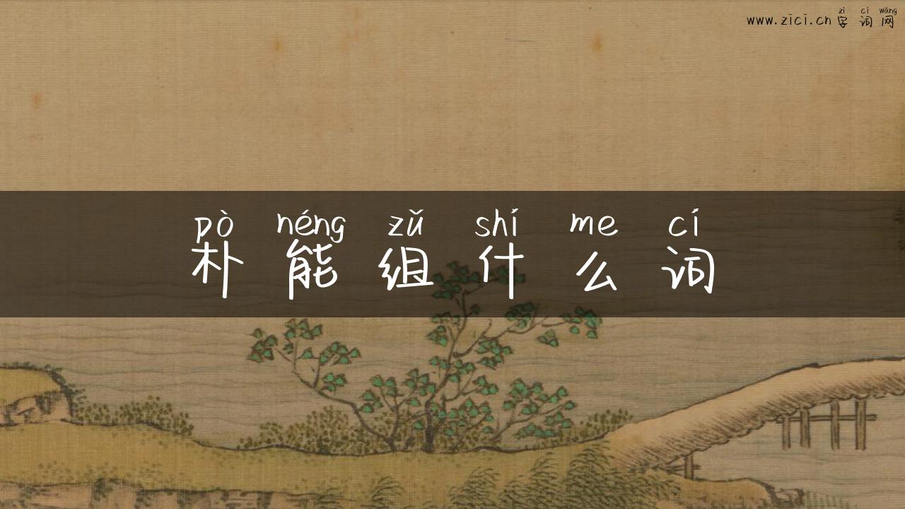 朴能组什么词