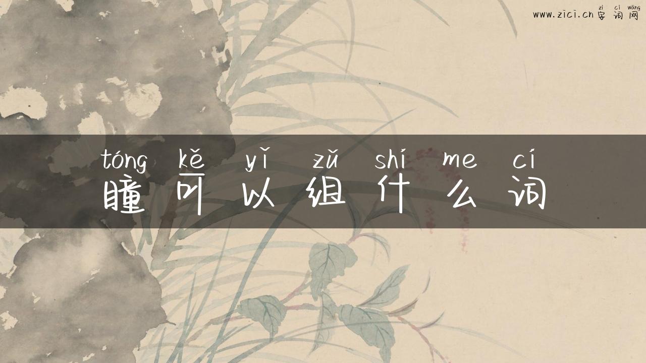 瞳可以组什么词