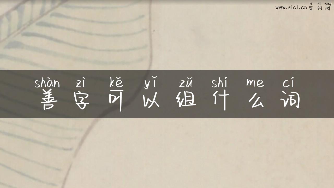 善字可以组什么词
