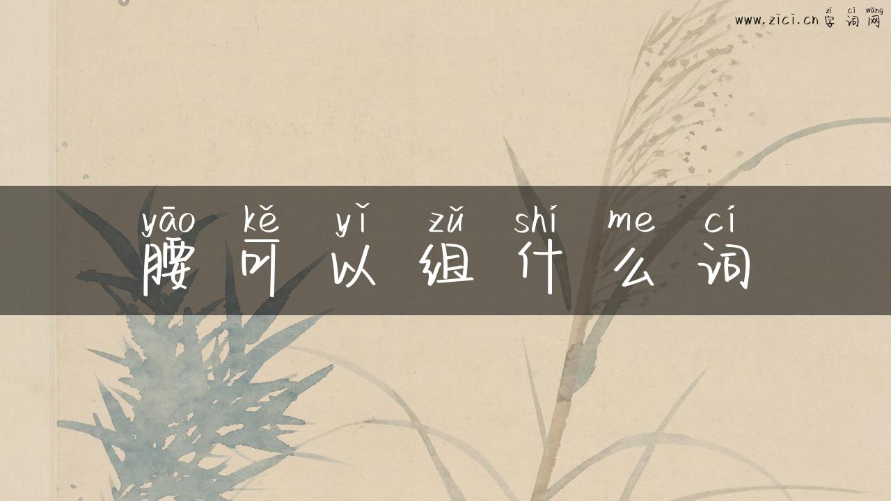 腰可以组什么词