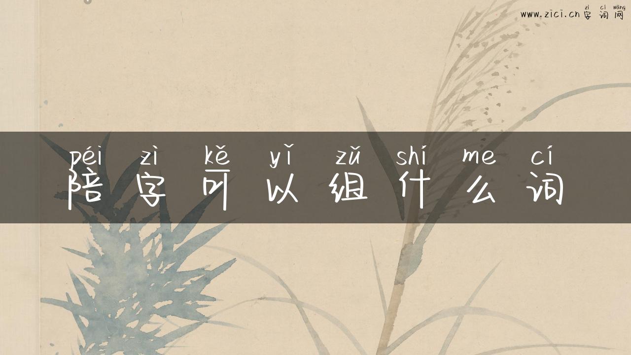 陪字可以组什么词