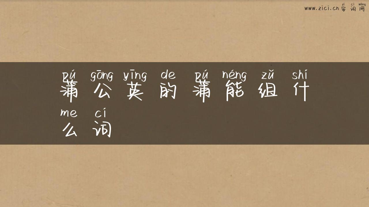 蒲公英的蒲能组什么词