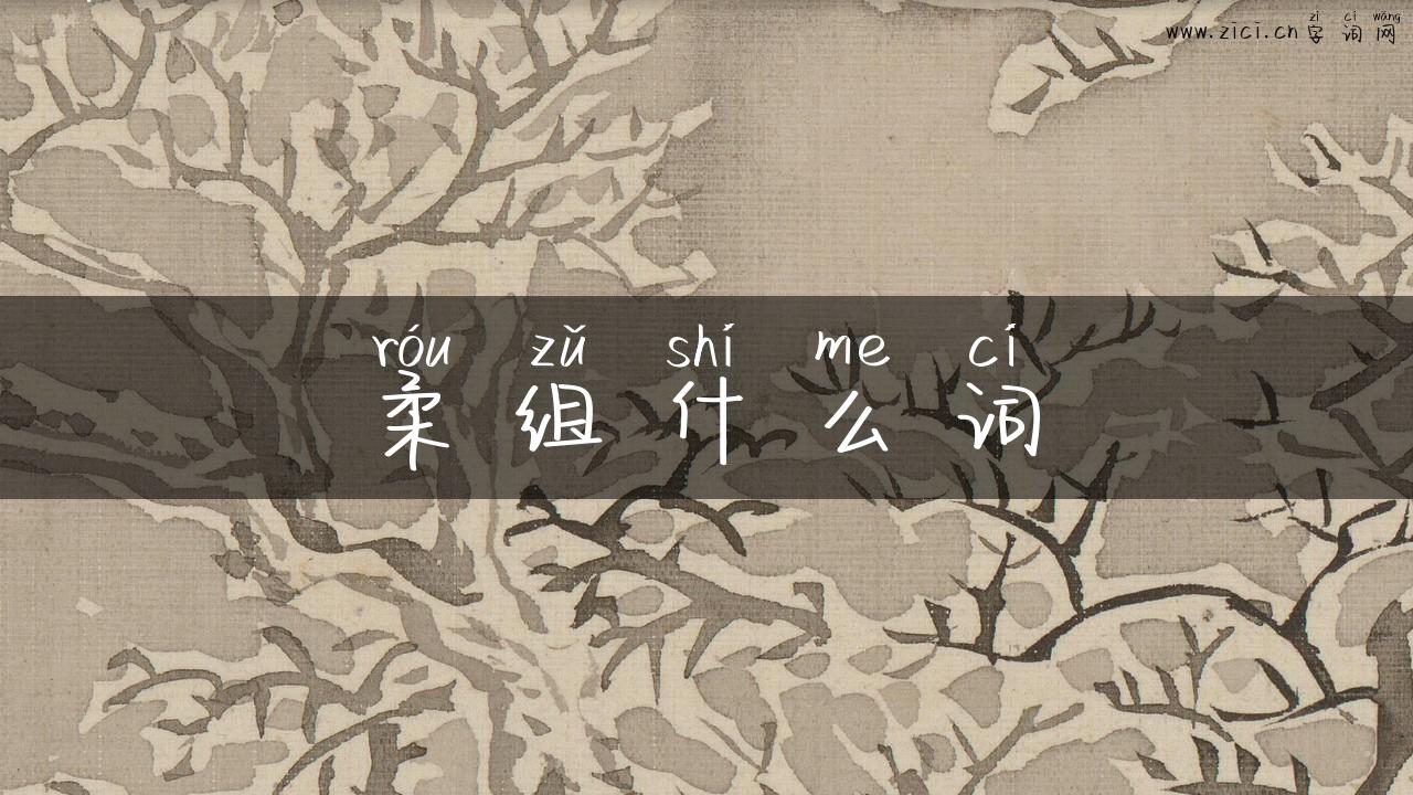 柔组什么词