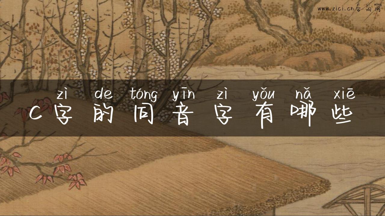 c字的同音字有哪些