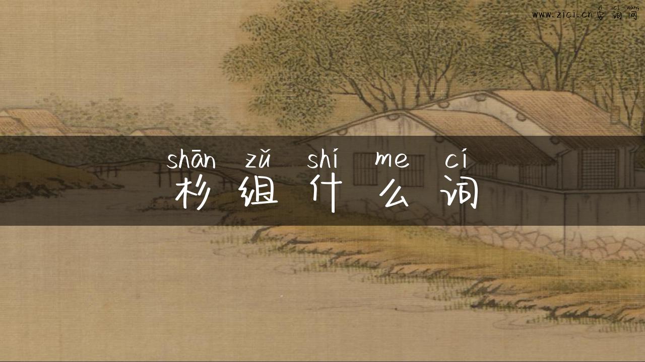 杉组什么词