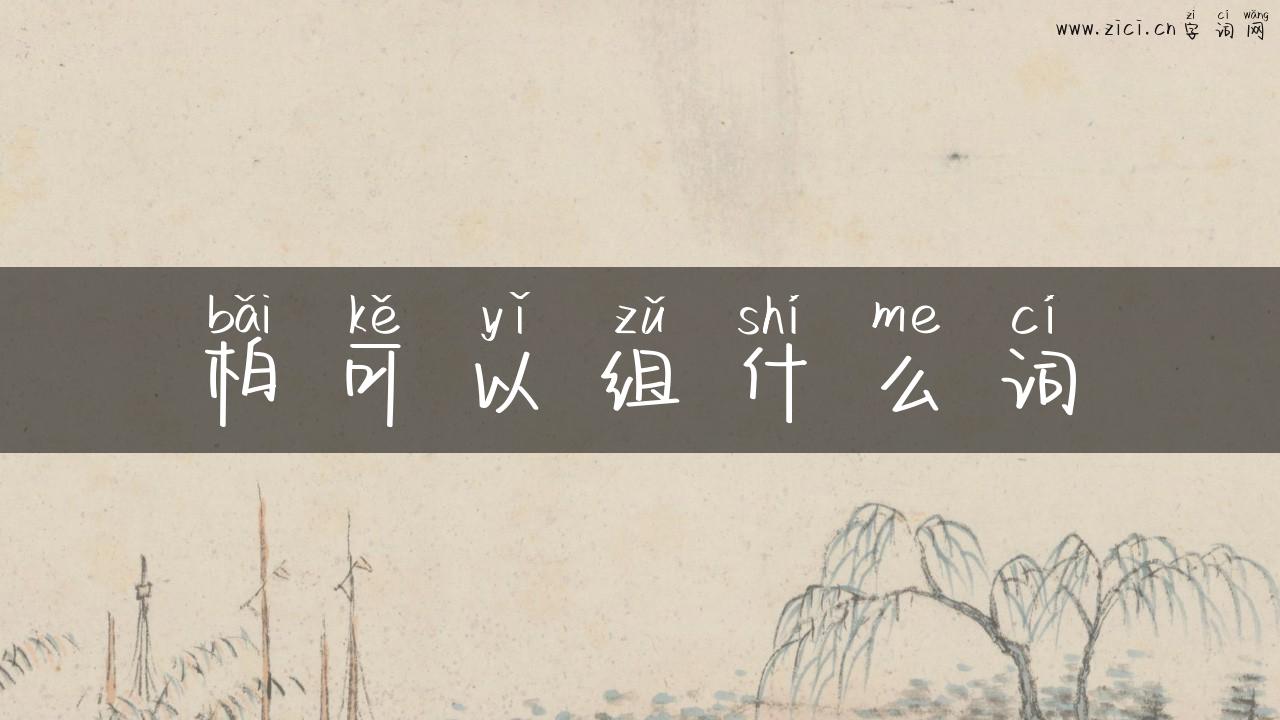 柏可以组什么词