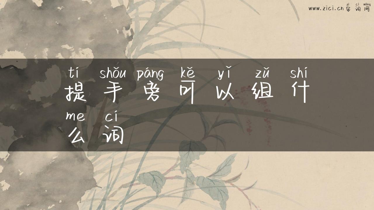 提手旁可以组什么词