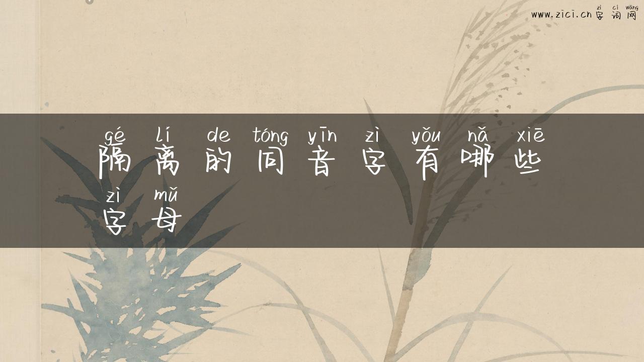 隔离的同音字有哪些字母
