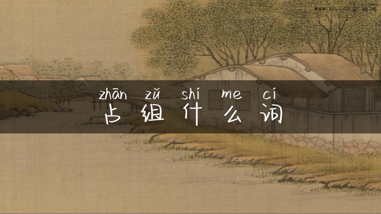 占组什么词