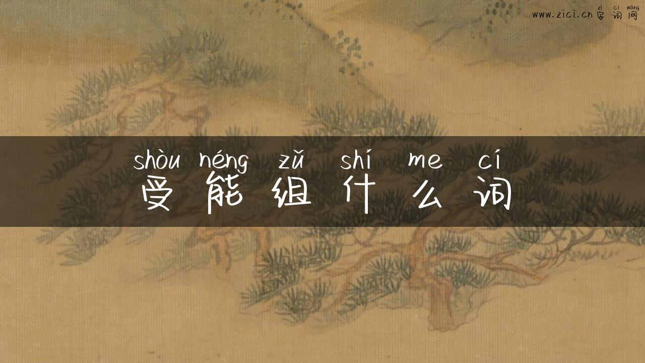 受能组什么词