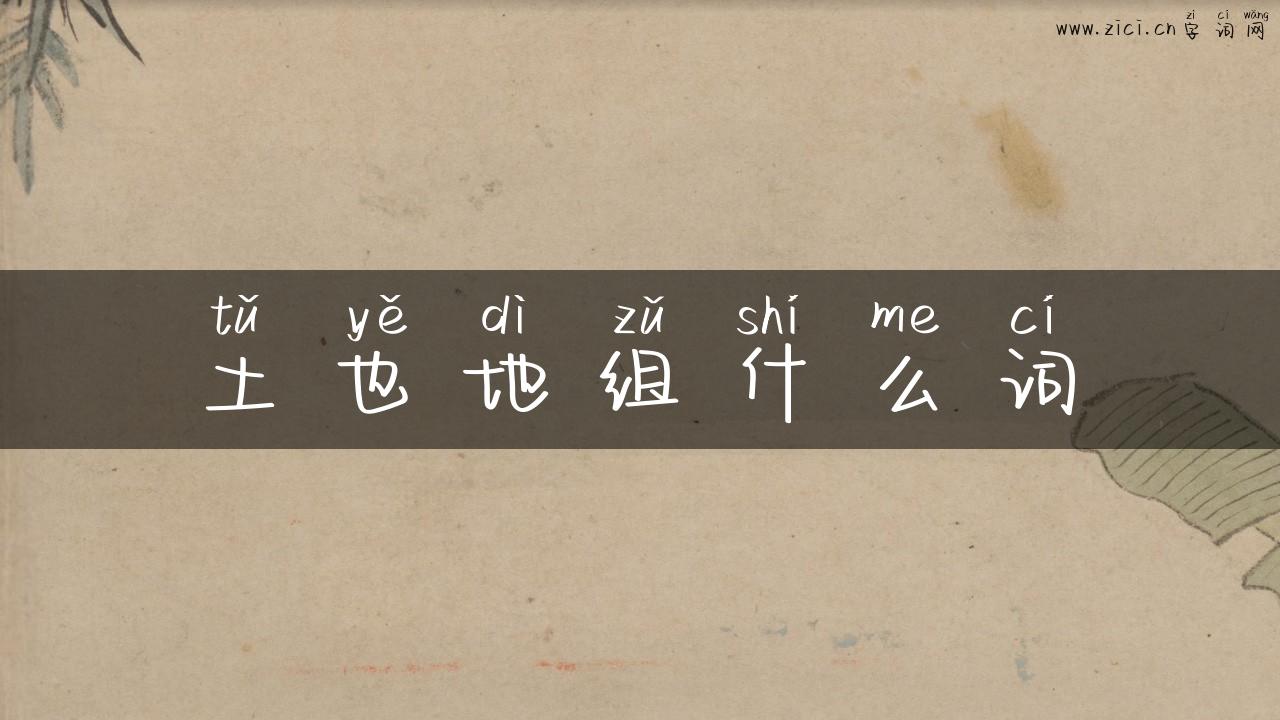 土也地组什么词