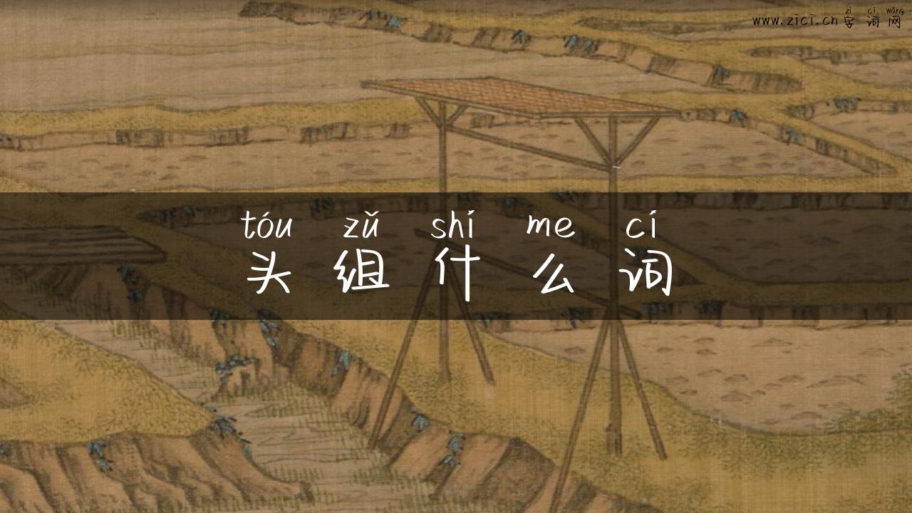 头组什么词