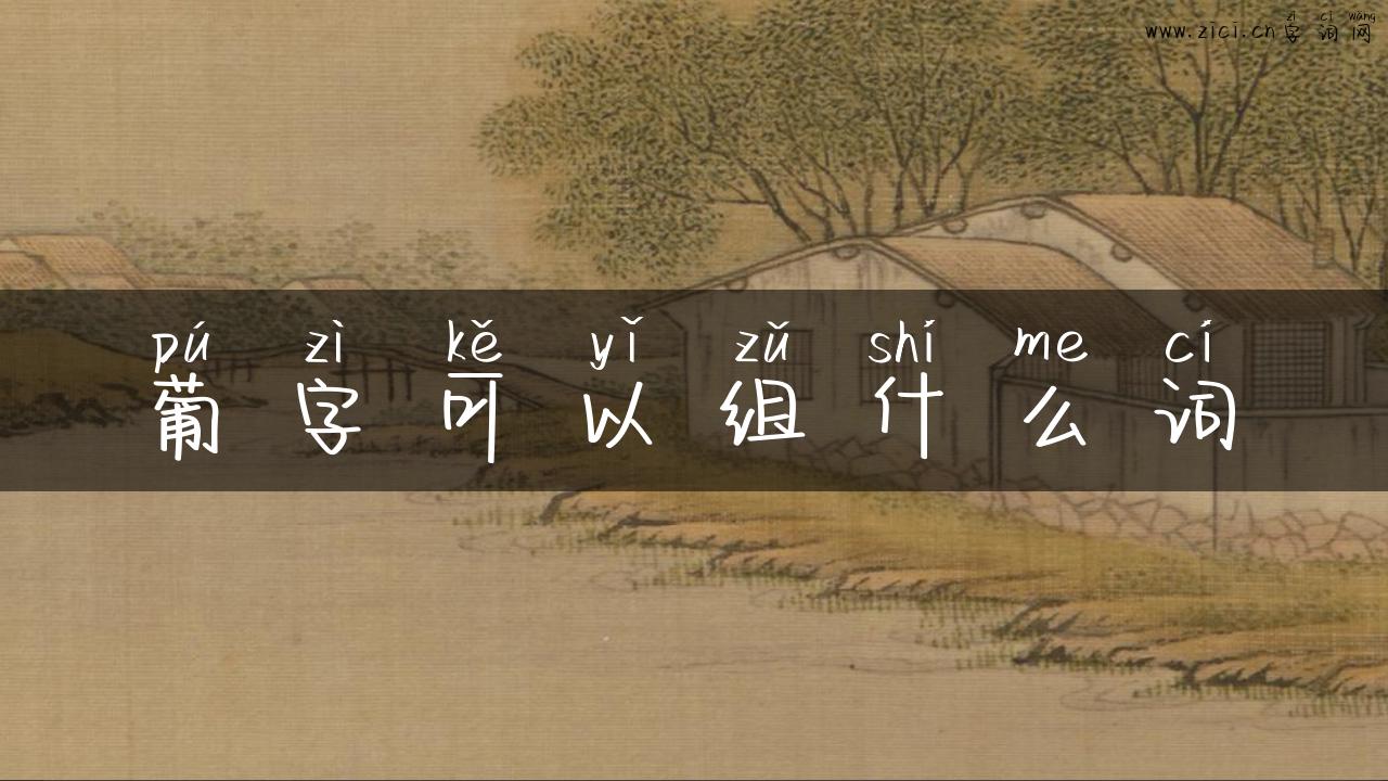 葡字可以组什么词