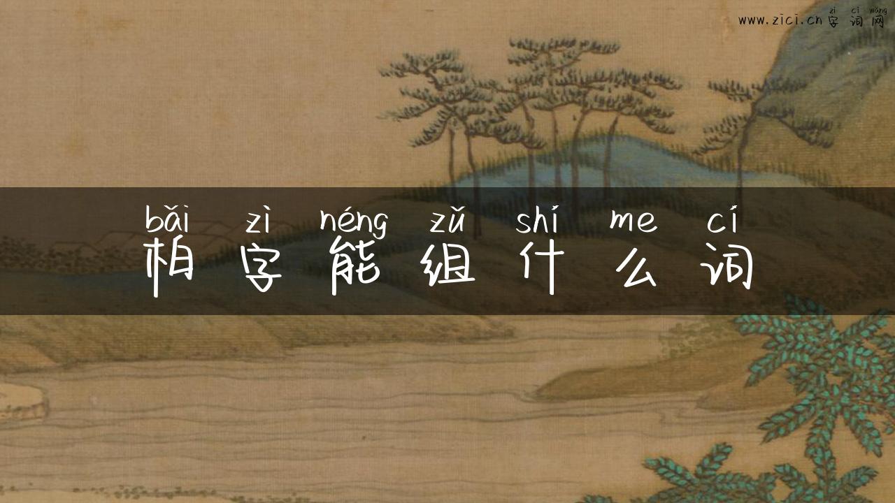 柏字能组什么词