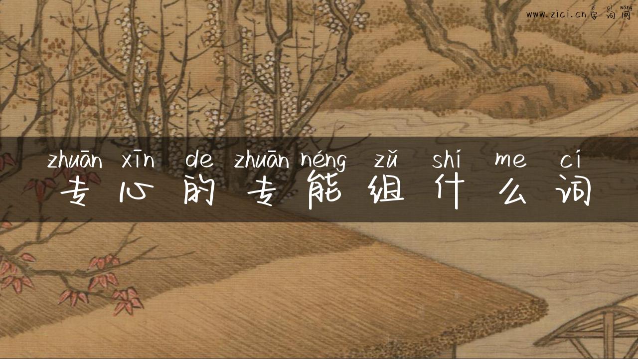 专心的专能组什么词