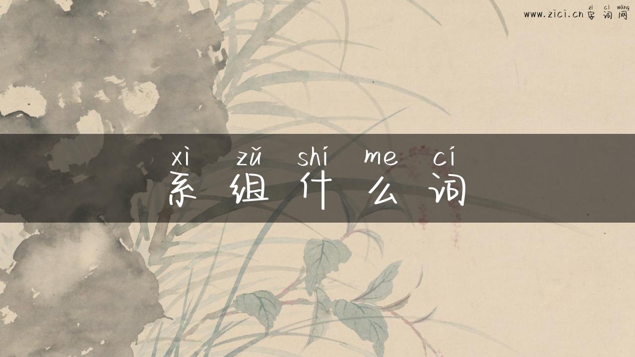 系组什么词
