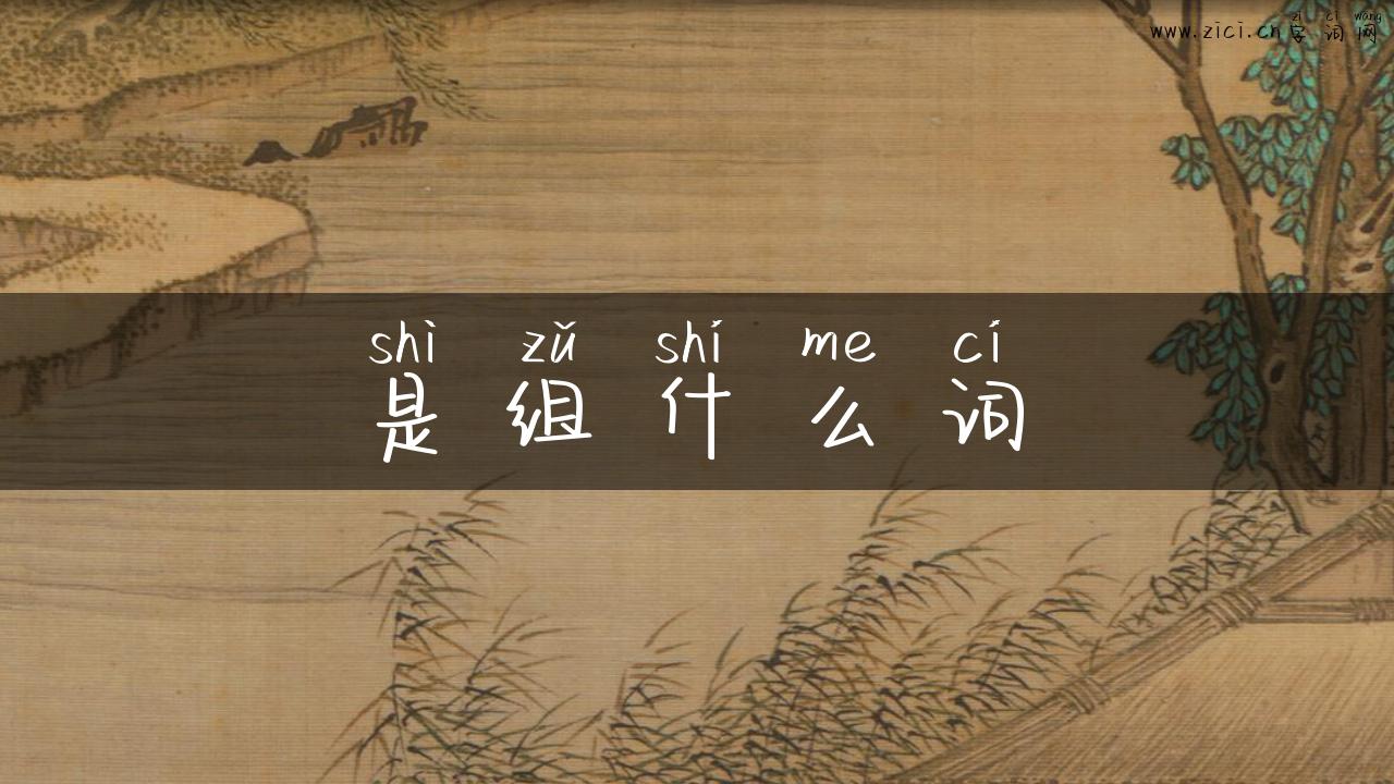 是组什么词