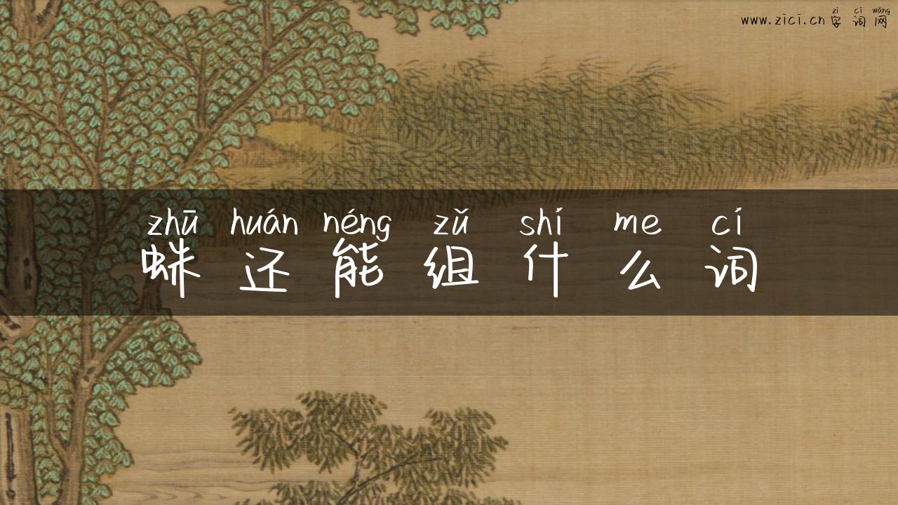 蛛还能组什么词