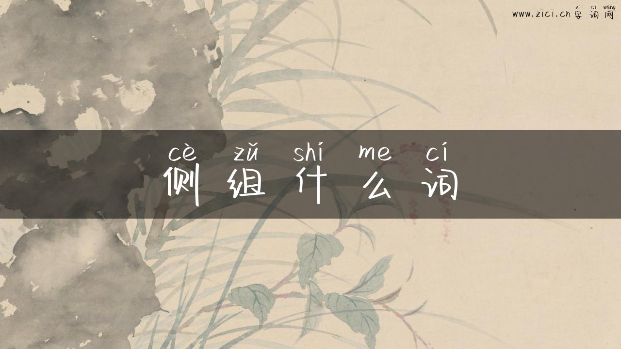 侧组什么词