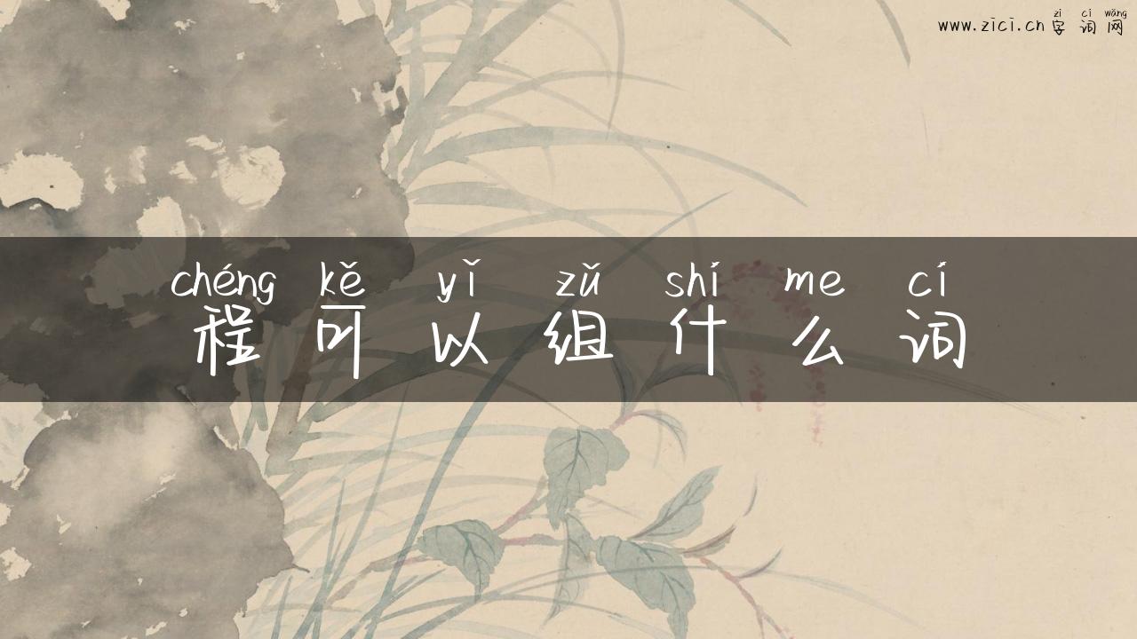 程可以组什么词