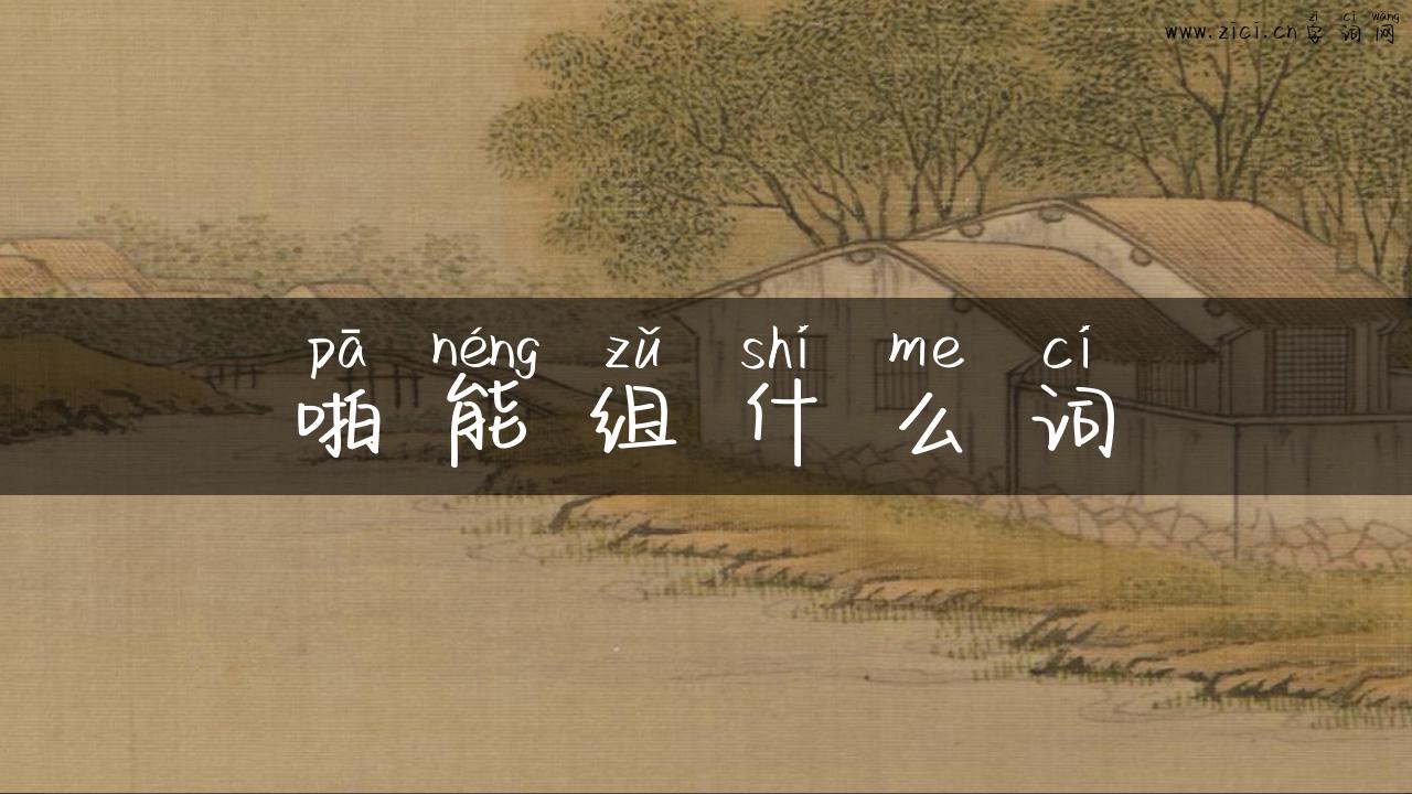 啪能组什么词