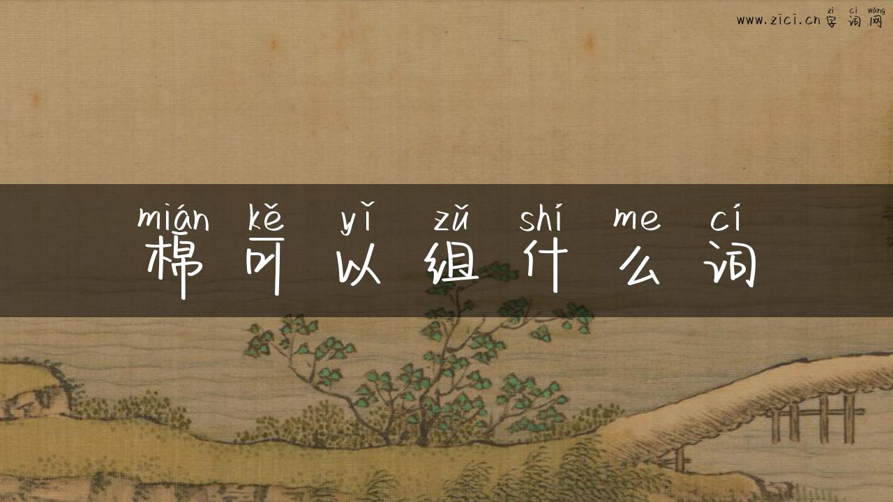 棉可以组什么词