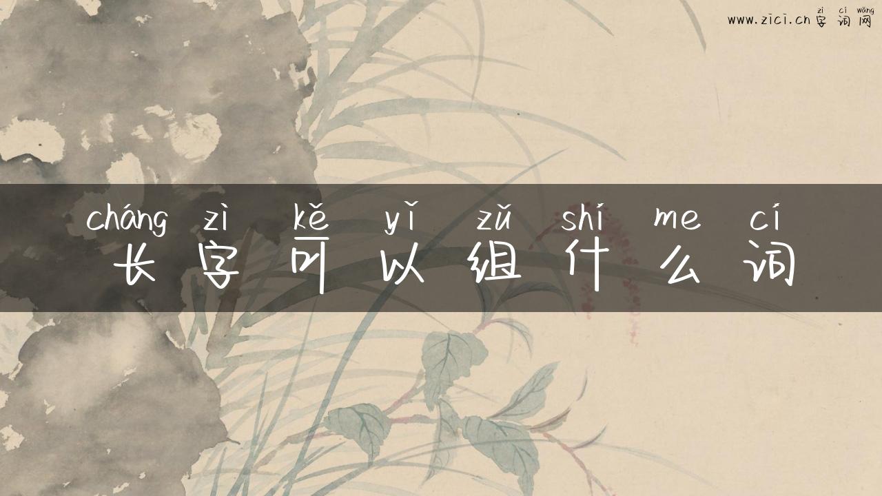 长字可以组什么词