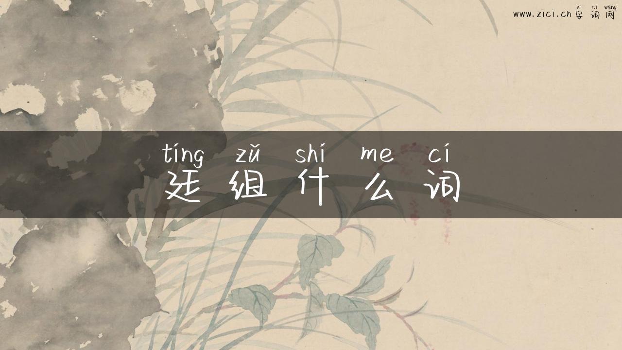 廷组什么词